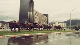 Подволд өрөөг хөлслүүлнэ
120 мянгатад автобусны буудал,үйлчилгээндээ Подволд өрөөг хөлслүүлнэ
120 мянгатад автобусны буудал,үйлчилгээндээ