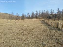 Гачууртын Их ам буюу эцсээс 3 км. Нийт 2800 м.кв 1 айлын үнэ 7.5 сая. Зуслангийн Гачууртын Их ам буюу эцсээс 3 км. Нийт 2800 м.кв 1 айлын үнэ 7.5 сая. Зуслангийн