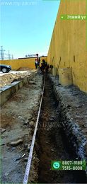 Мод тарих нь хялбар боловч мэргэжлийн хүн зайлшгүй шаардлагатай нь үнэн билээ. Мод тарих нь хялбар боловч мэргэжлийн хүн зайлшгүй шаардлагатай нь үнэн билээ.