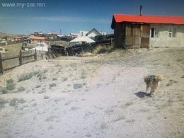 Өргөө кинотеатрын хойно төвдөө ойрхон хашаа байшин яаралтай хямд үнэ тохирч зарна. Өргөө кинотеатрын хойно төвдөө ойрхон хашаа байшин яаралтай хямд үнэ тохирч зарна.