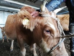 Олж өгч тусална уу
Сүхбаатар аймгийн Сүхбаатар сумын 1-р баг Өлзийт Олж өгч тусална уу
Сүхбаатар аймгийн Сүхбаатар сумын 1-р баг Өлзийт