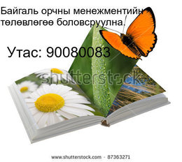 Байгаль орчны менежментийн төлөвлөгөө, тайлан боловсруулна. Байгаль орчны менежментийн төлөвлөгөө, тайлан боловсруулна.