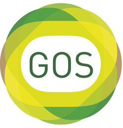 GOS center Бага насны хүүхэдүүд болон Унган гадаад хэлтэй хүмүүсийг уншуулж GOS center Бага насны хүүхэдүүд болон Унган гадаад хэлтэй хүмүүсийг уншуулж