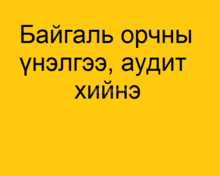 Байгаль орчны нарийвчилсан үнэлгээ, аудит хийнэ. Байгаль орчны нарийвчилсан үнэлгээ, аудит хийнэ.